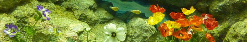 UVパーカーとはなんなのか？